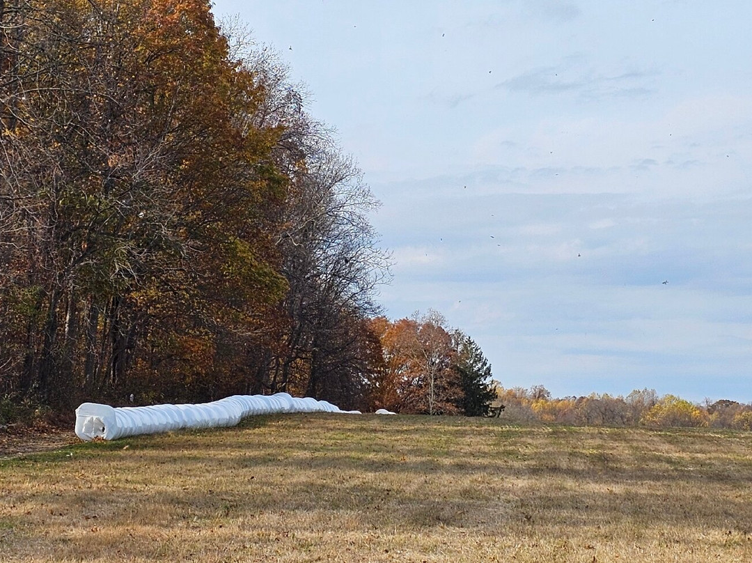 Hickory Chance Farm-Bel Air必去景点