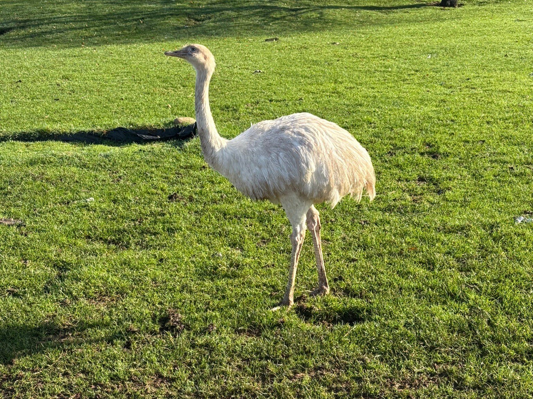 Greendale Farm Shop-Farringdon必去景点