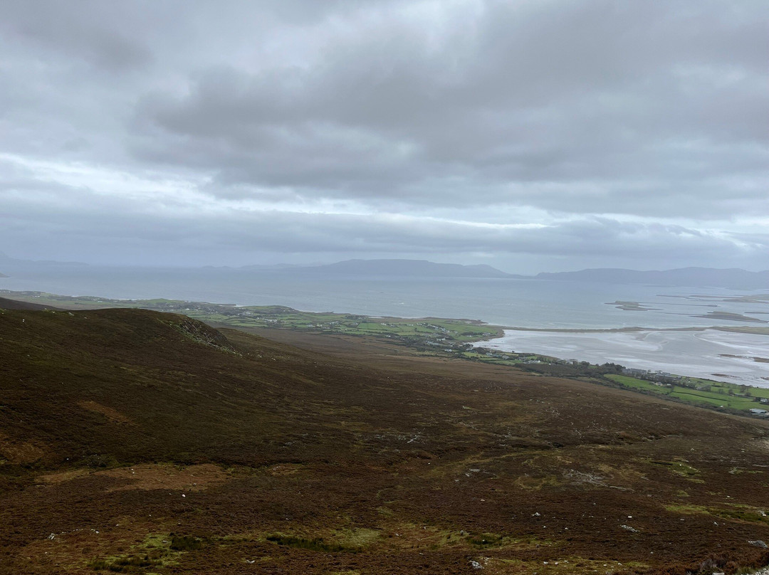 Bertra House B&B主图