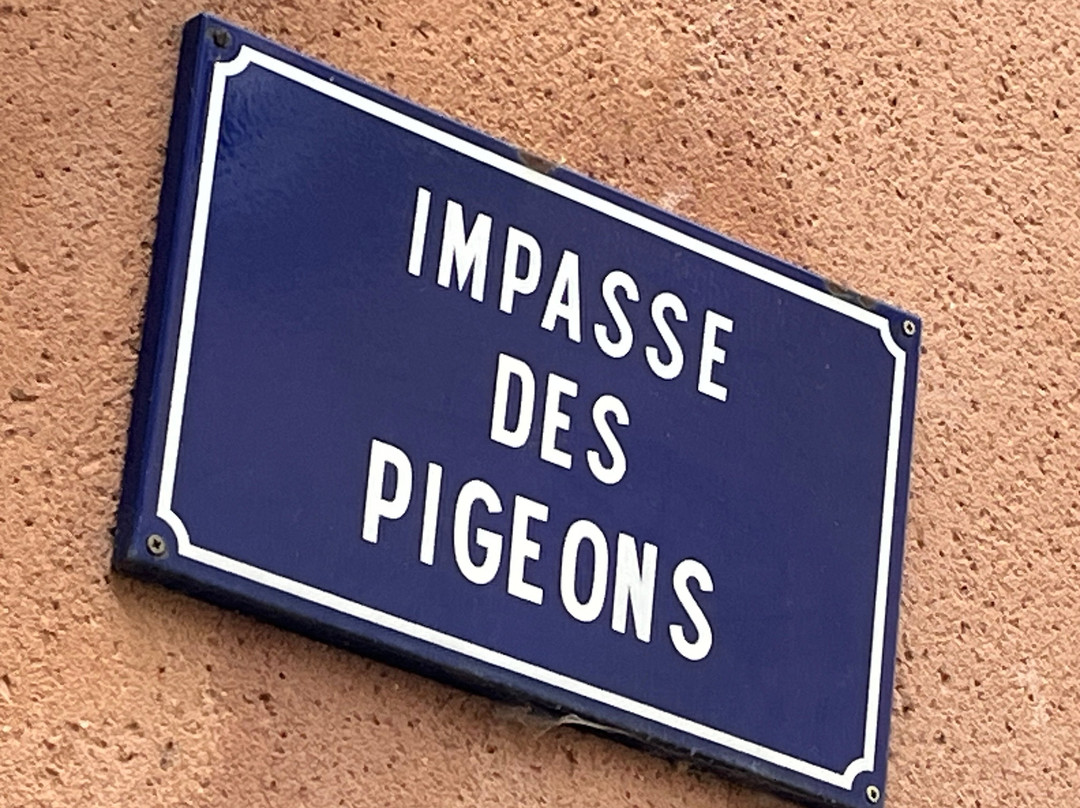 Vieille Ville-塞勒斯塔必去景点