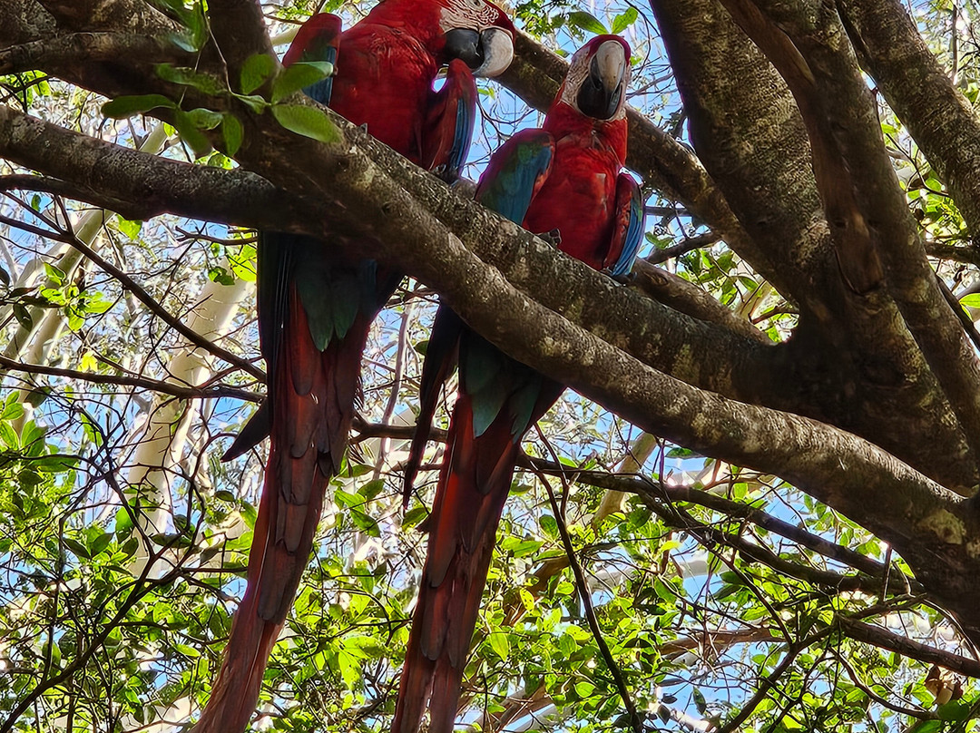 Recanto Ecologico Rio da Prata-博尼图必去景点