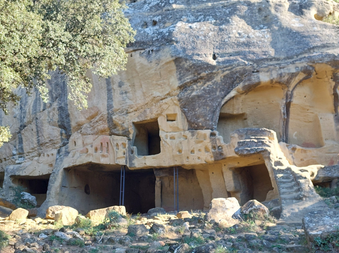 Les Grottes de Cales-Lamanon必去景点