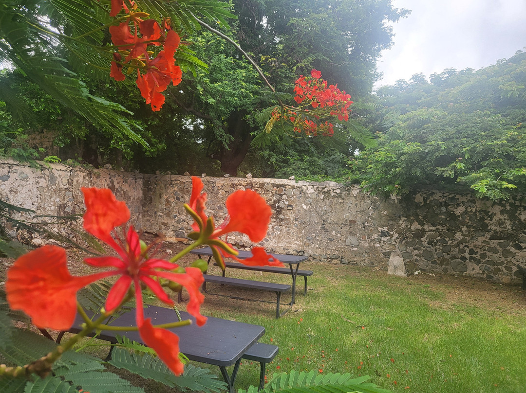 Cane Bay-圣克鲁斯必去景点