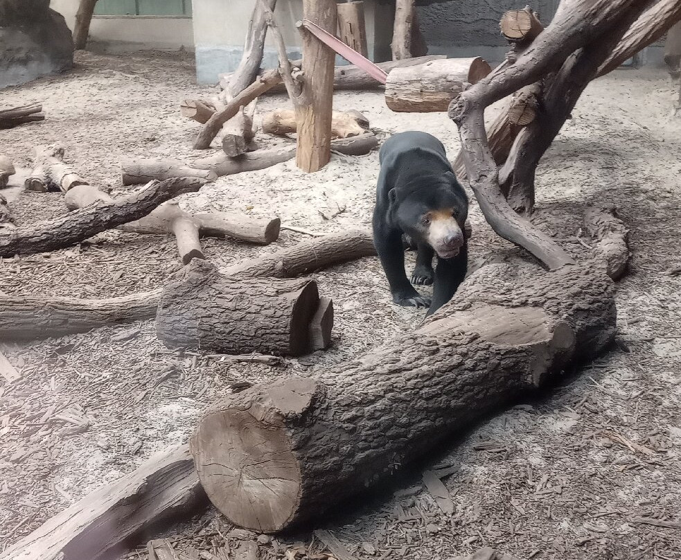 Orientarium Zoo Lodz-罗兹必去景点