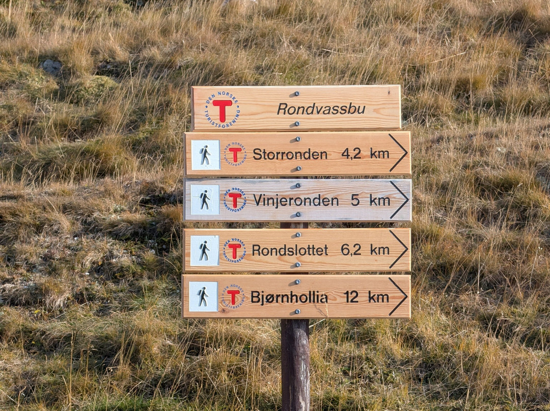 Rondane National Park-Eastern Norway必去景点