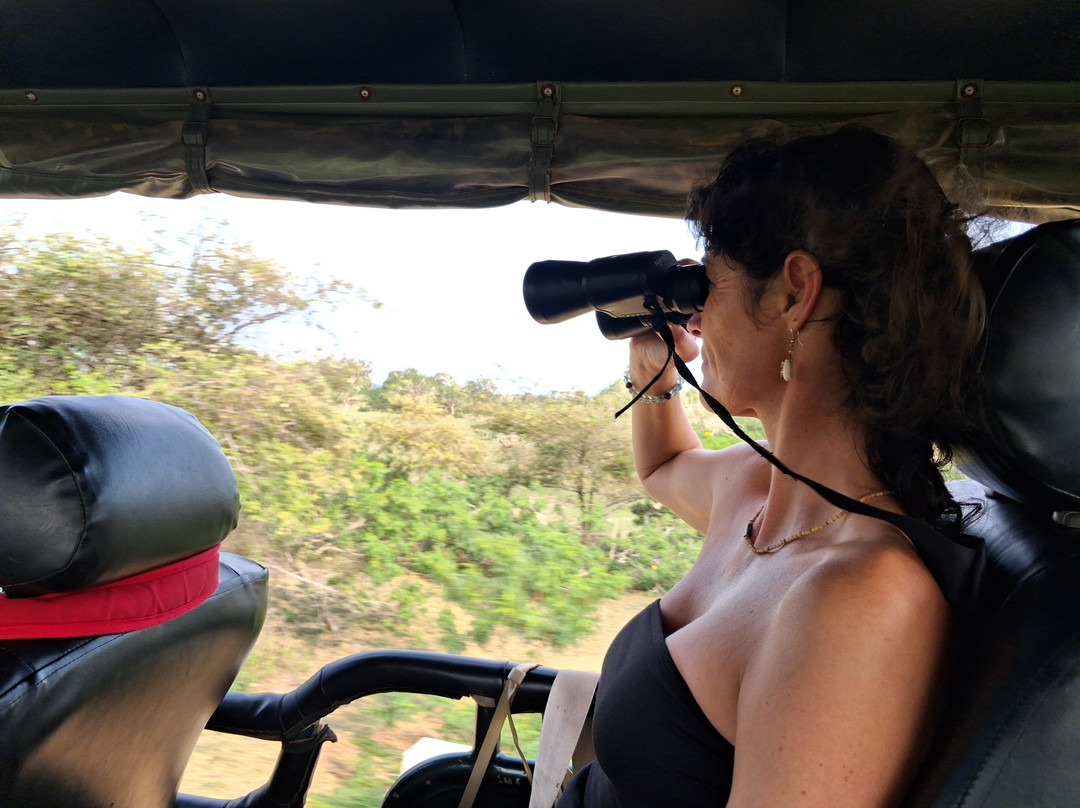 Geethmi Tours-亚洪加拉必去景点