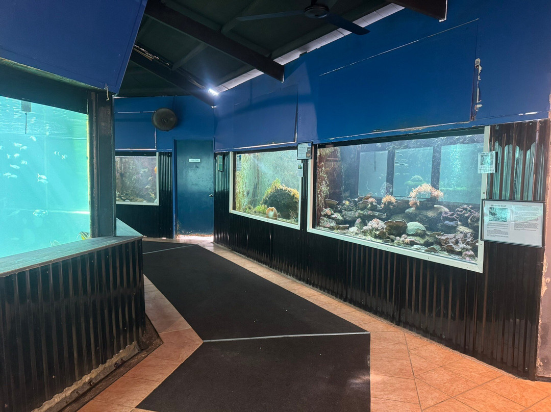 Reefworld Aquarium-尤兰根必去景点