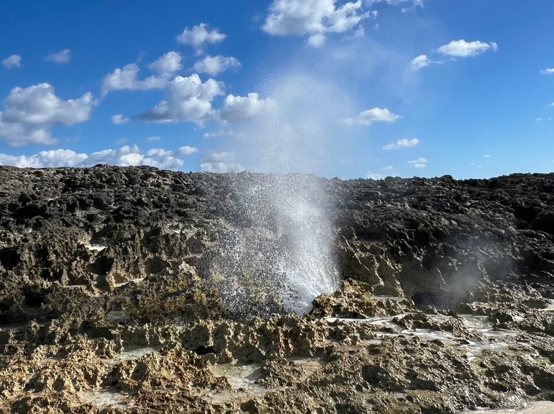 Sugar Adventure Company-day Boat Tours-大埃克苏马必去景点
