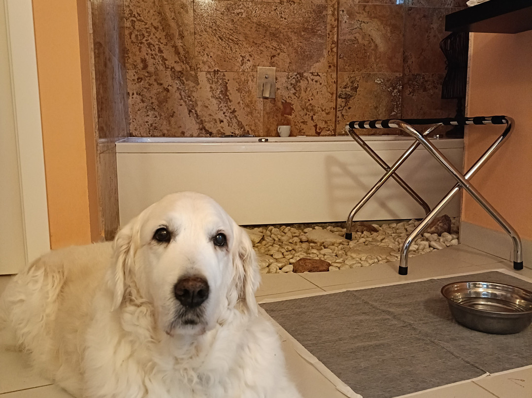 Hotel Albergo Locanda La Cavallina主图