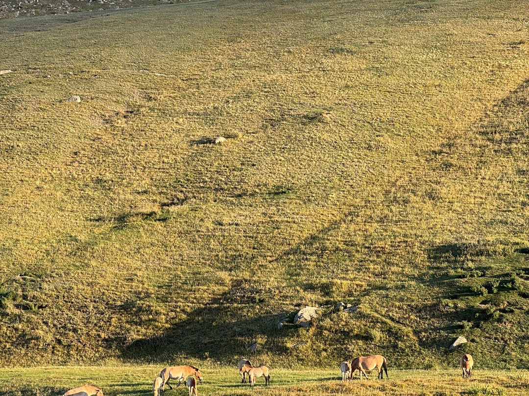 Discover Mongolia Travel-乌兰巴托必去景点