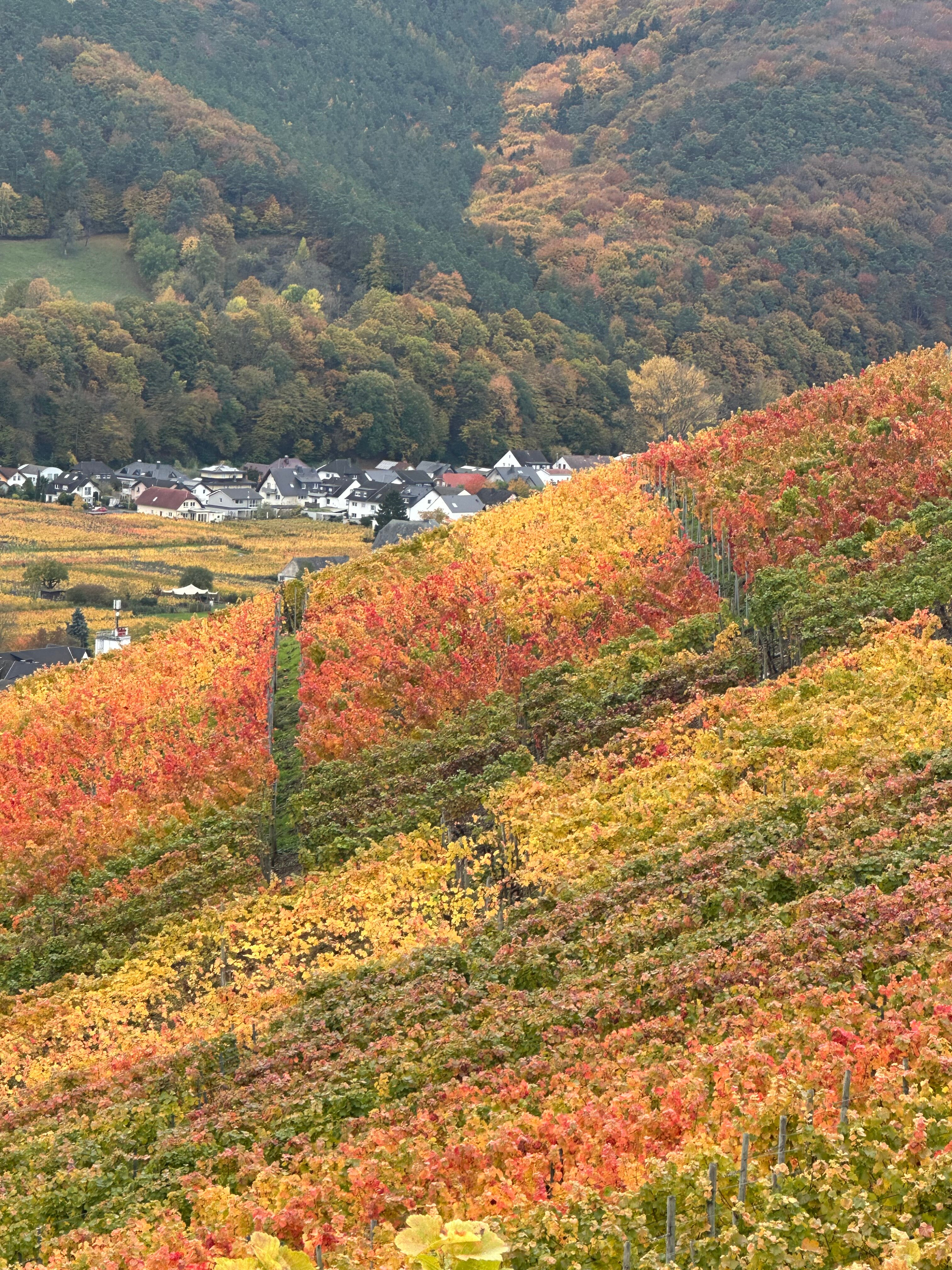 Apart Hotel Lang-官方