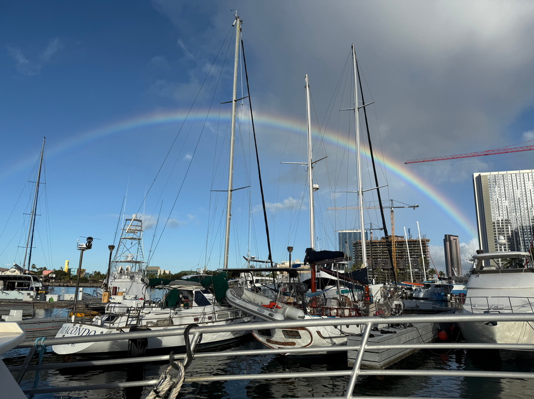 Dive Oahu-火奴鲁鲁必去景点