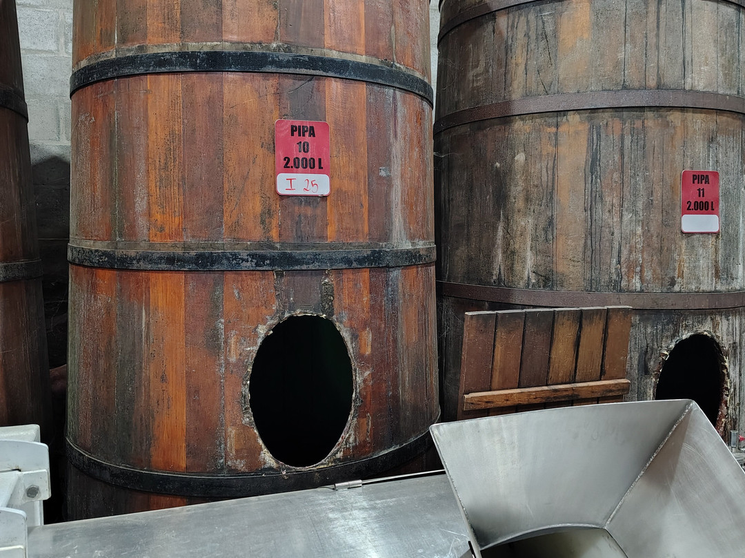 Vinhos Foresti-Pinto Bandeira必去景点