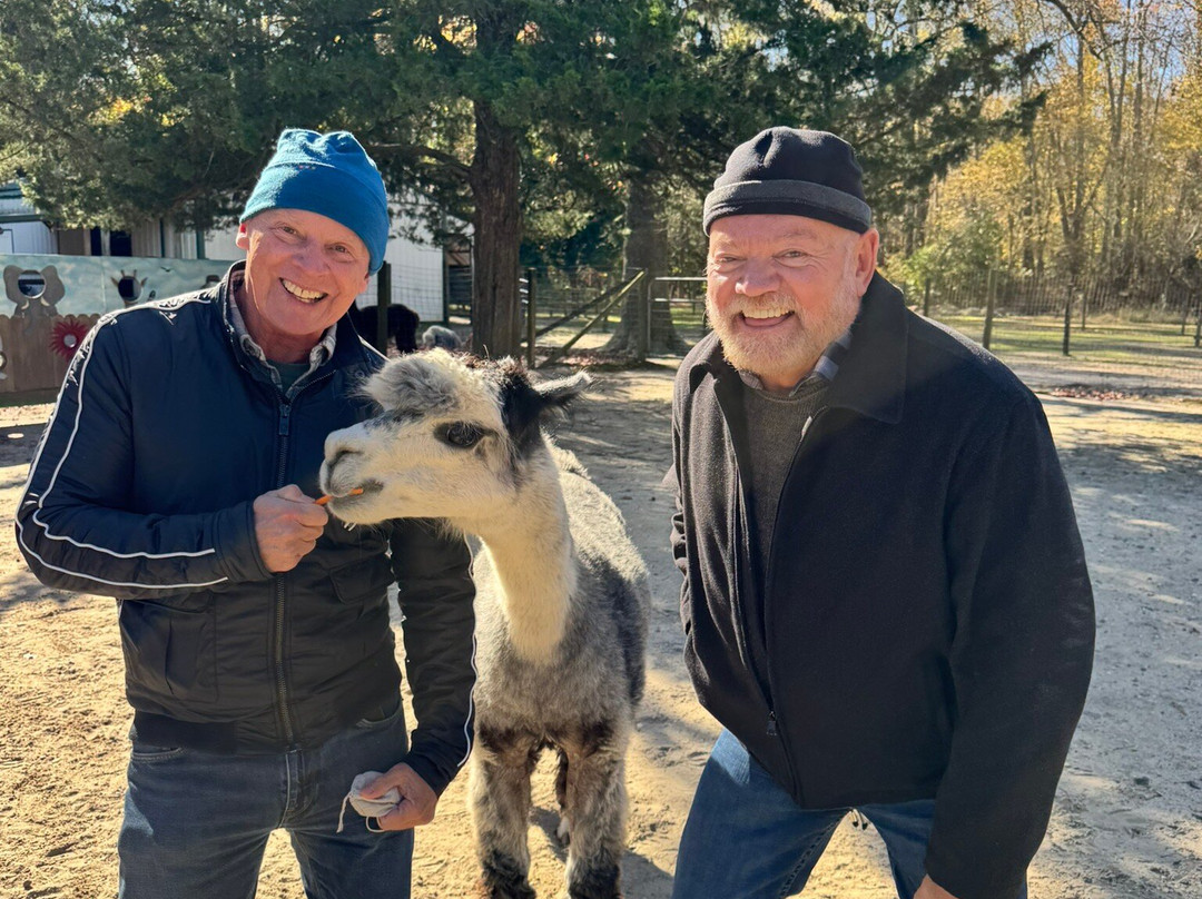 Jersey Shore Alpacas-开普梅必去景点
