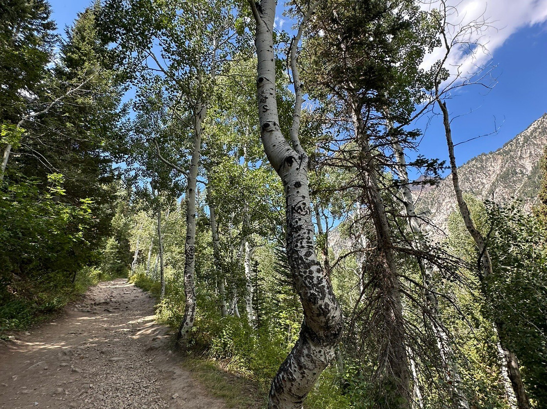 Red Pine Lake-帕克城必去景点