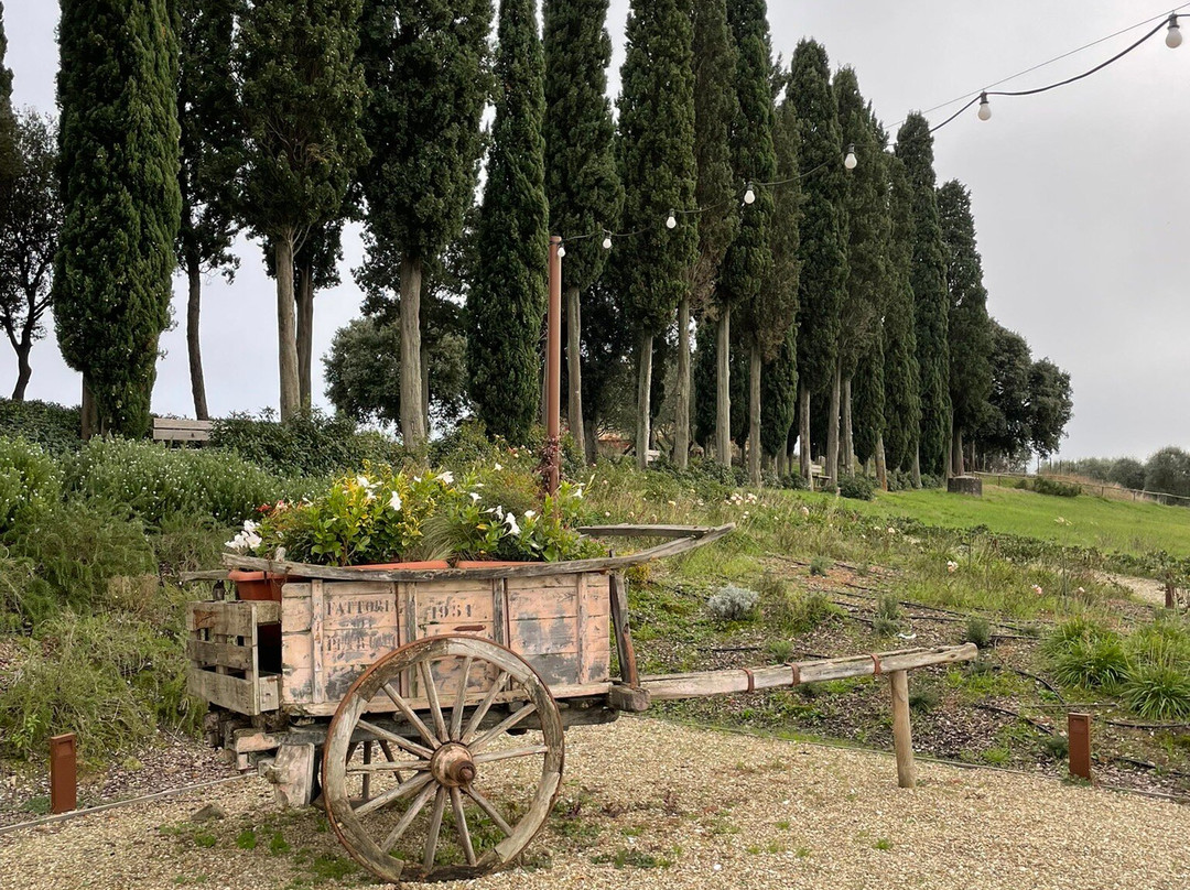 Villa Petriolo主图