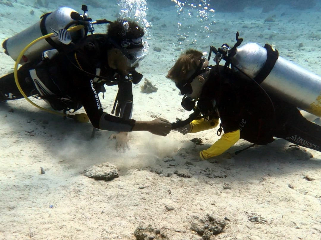 SunGo Tours-Hurghada 1必去景点