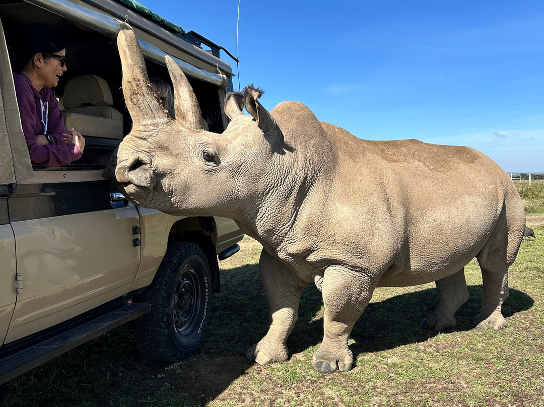 Odyssey Safaris-南由基必去景点