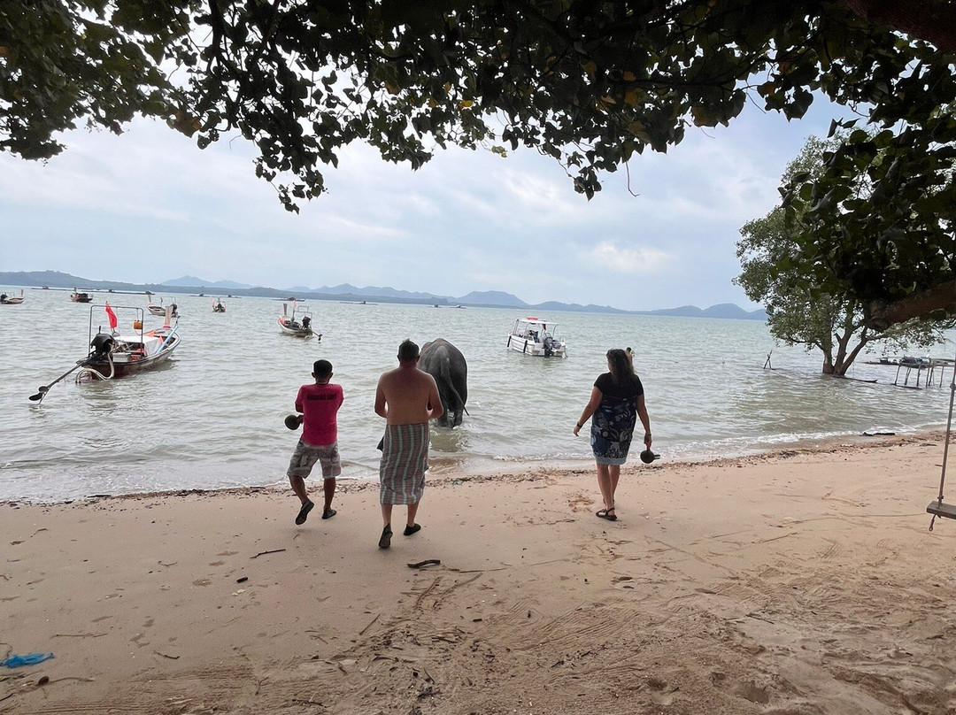 Koh Yao Elephant Beach-阁耀亚伊岛必去景点