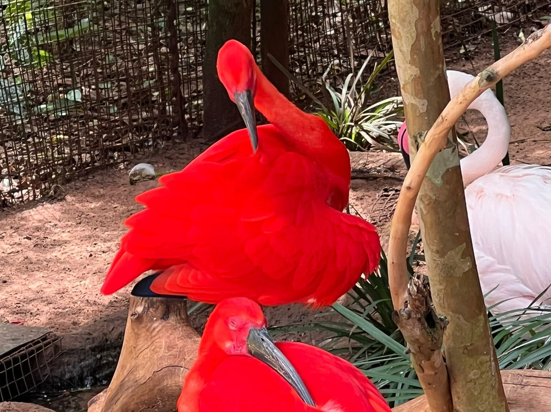 Guayi Travel-伊瓜苏必去景点