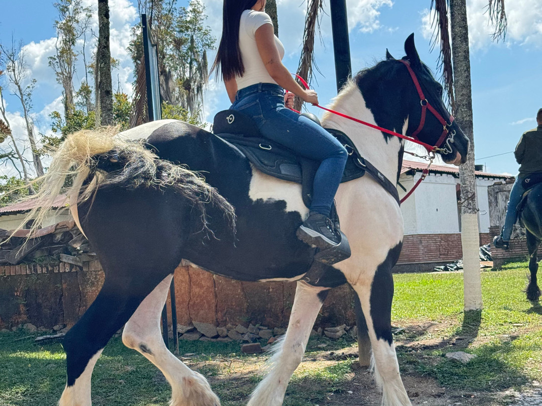 Parque la Manuela-Guatape必去景点