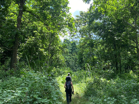 The Jungle Book Safari & Tours,  Chitwan National Park-苏拉哈必去景点