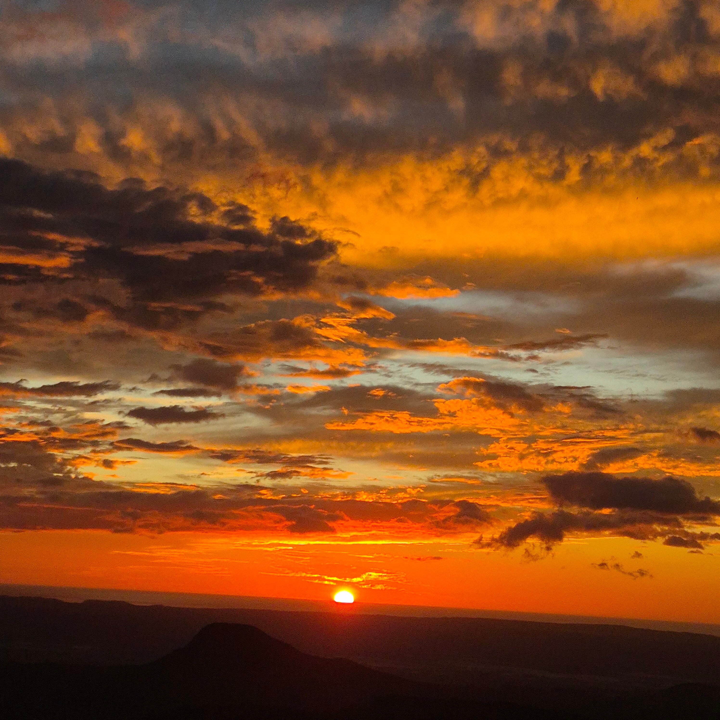 Buena Vista del Rincon Eco Adventure Park Hotel & Spa-官方