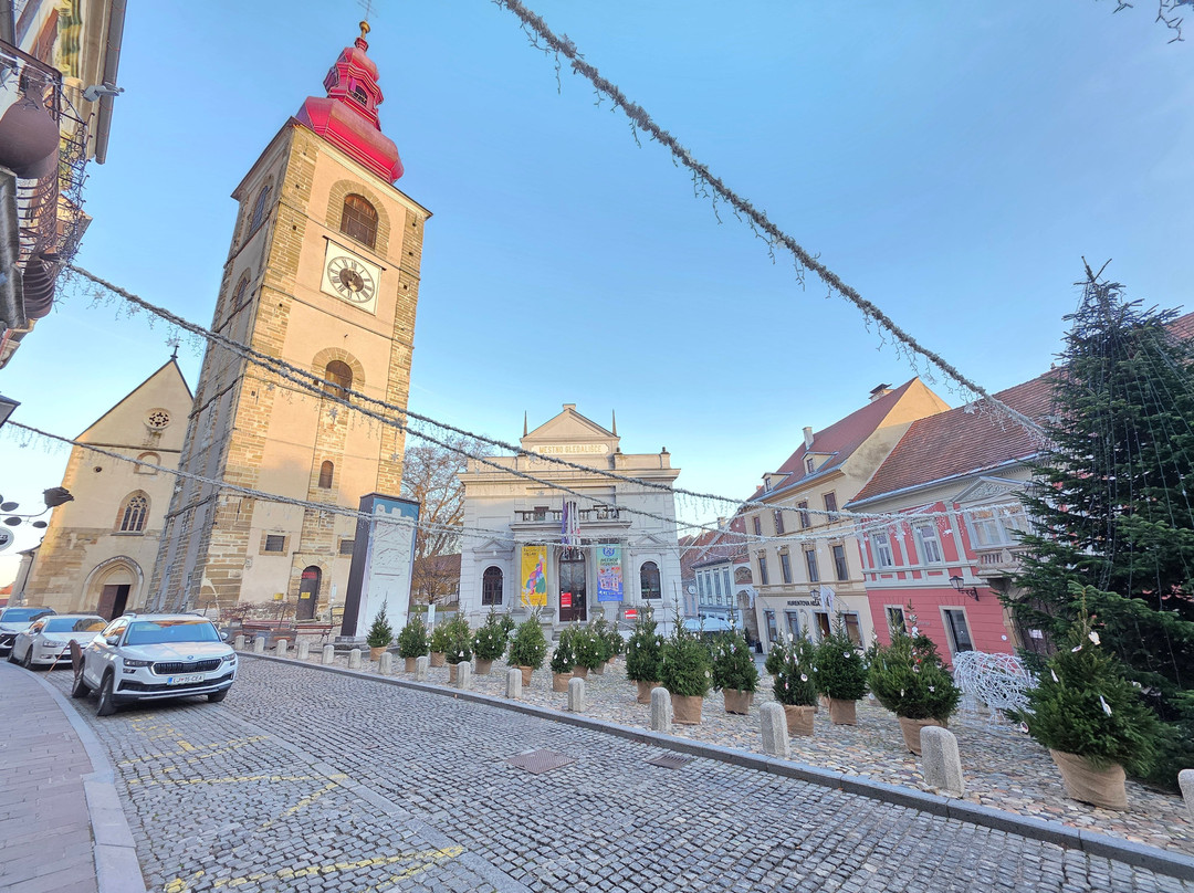 Ptuj City Tower-普图伊必去景点