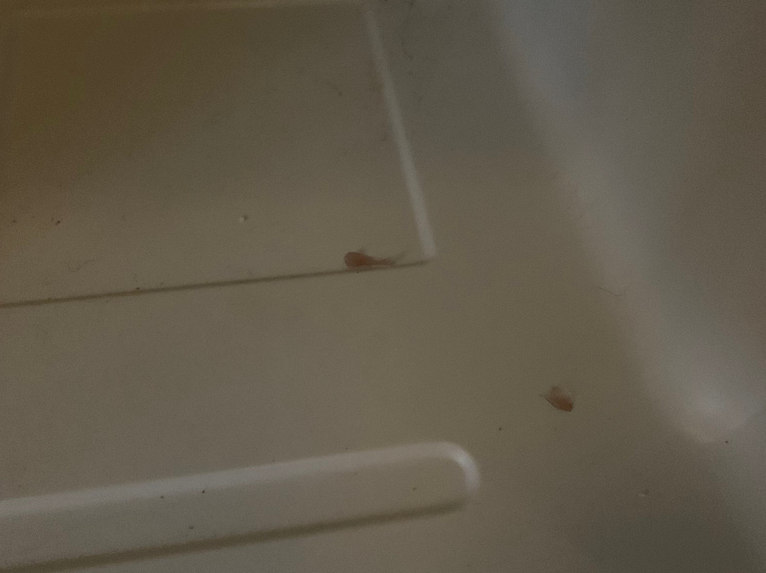 La Quinta Inn & Suites by Wyndham Milwaukee Delafield主图