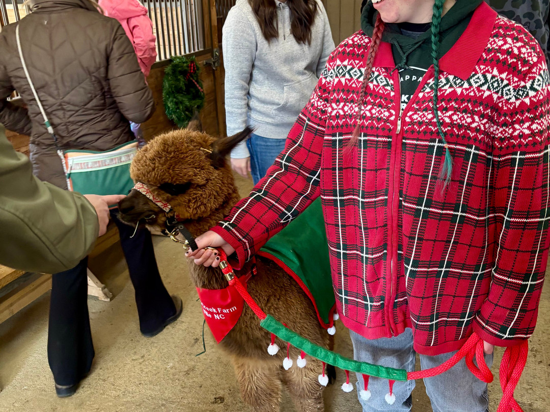 Winchester Creek Farm-韦恩斯维尔必去景点