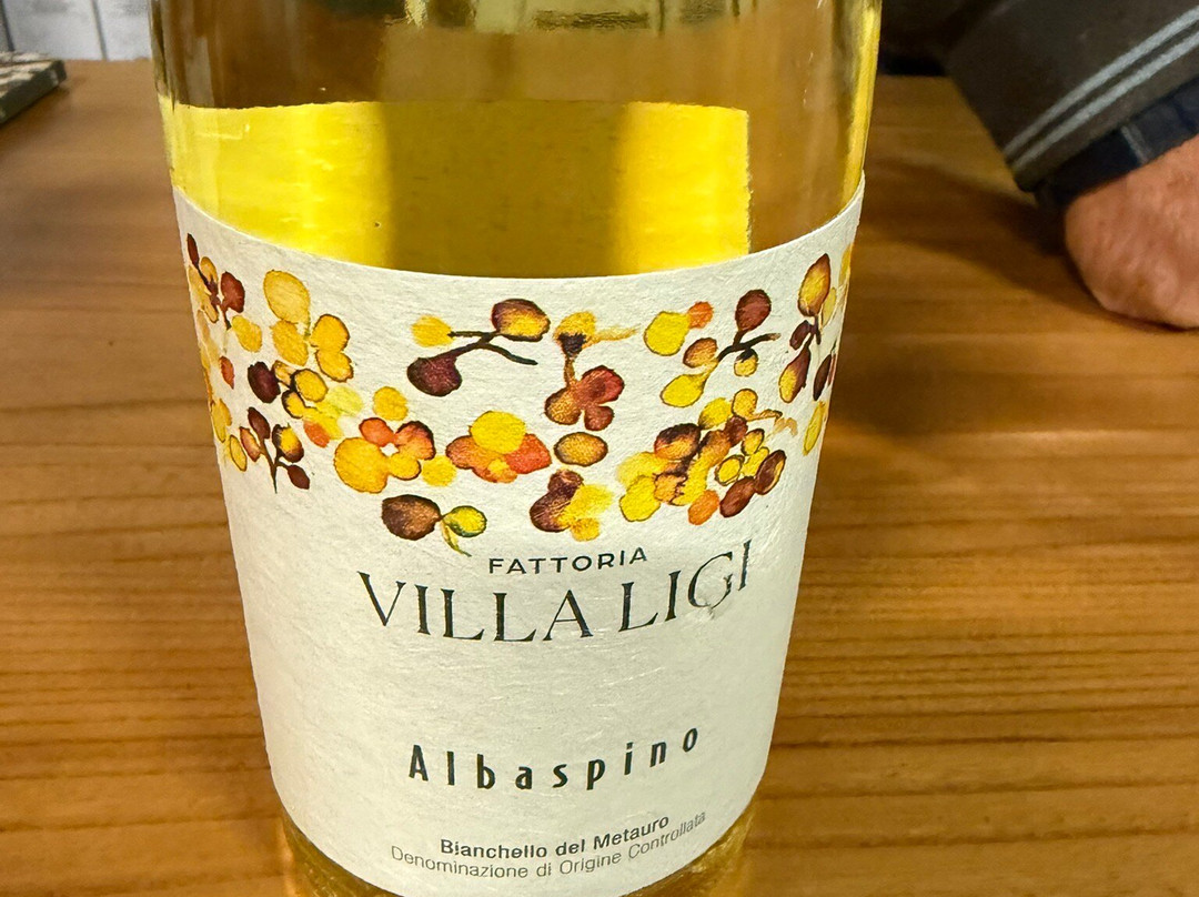 Fattoria Villa Ligi-Pergola必去景点