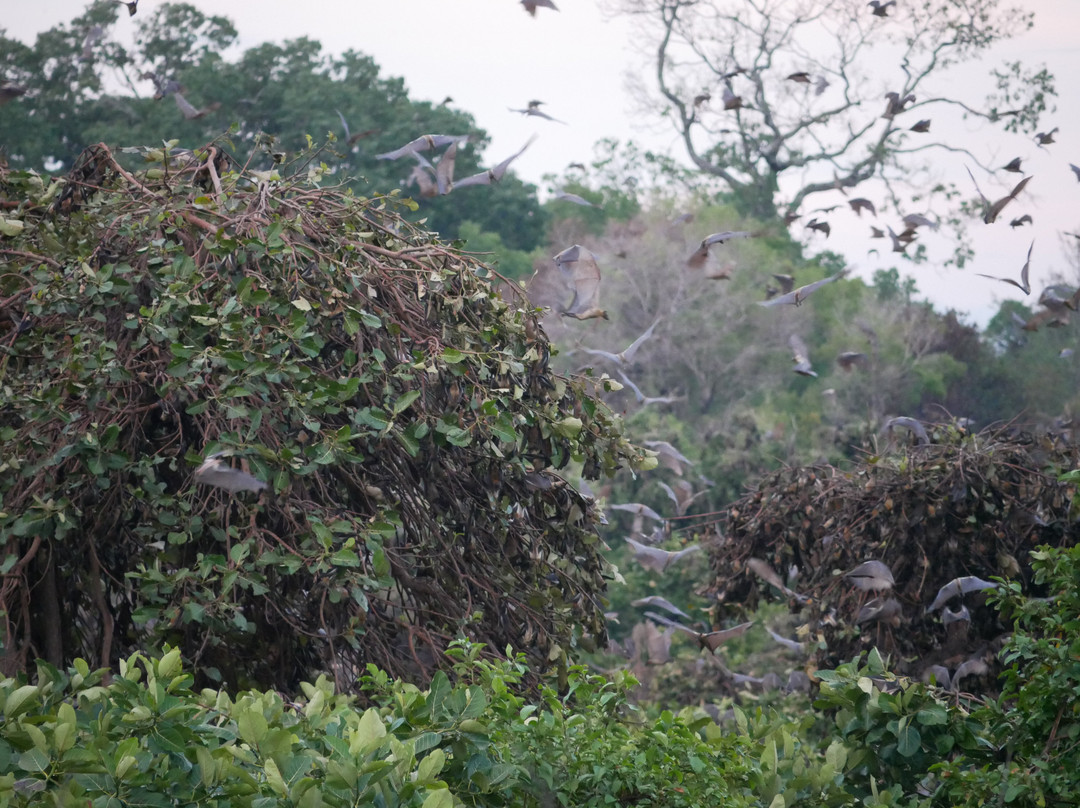 Zamsato - Zambia Safaris & Adventours-李文斯顿必去景点