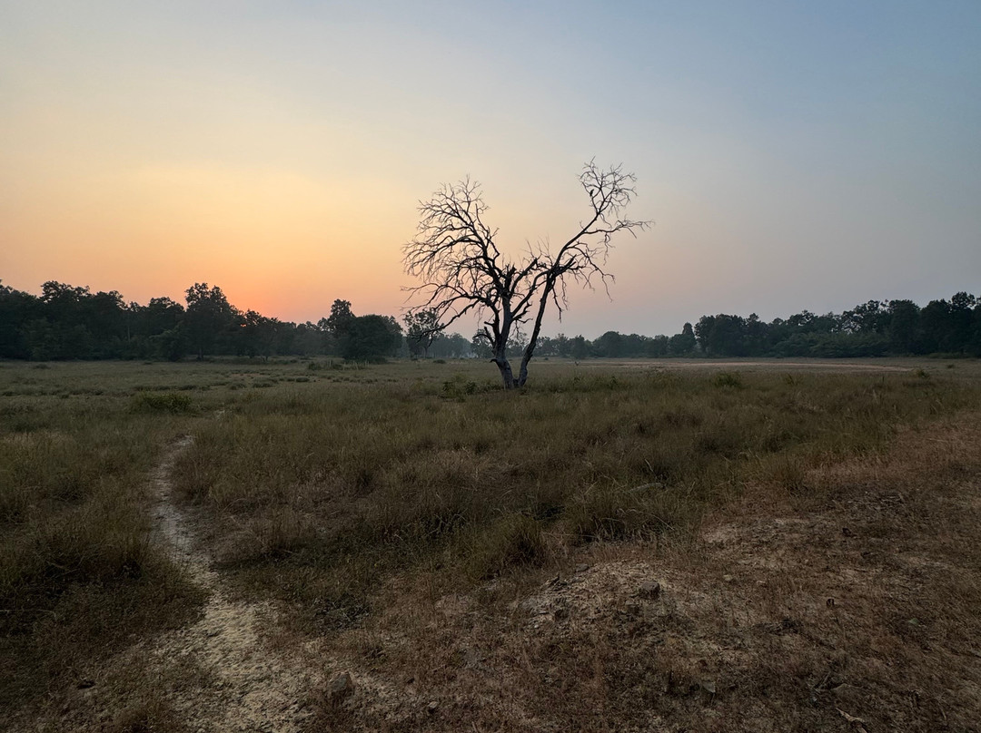 Mahua Kothi, A Taj Safari - Bandhavgarh National Park主图