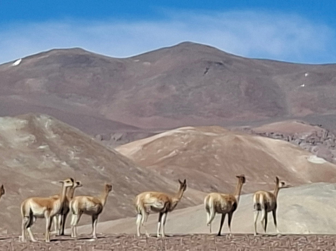 Adventure Peaks-安布赛德必去景点