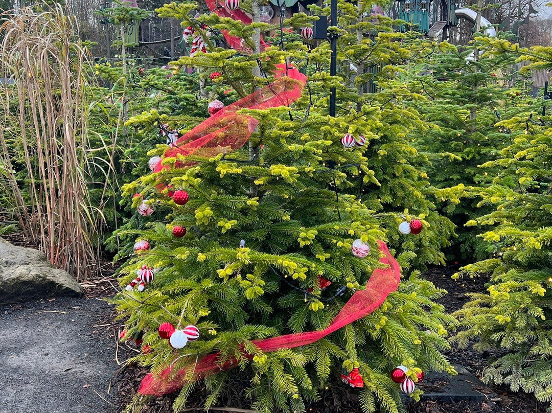 Lilidorei At The Alnwick Garden-阿尼克必去景点