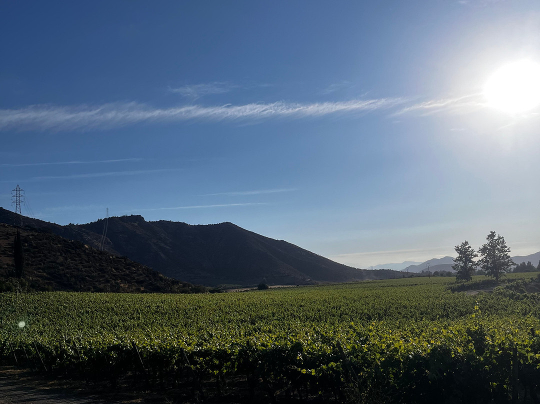 Besoain Wines-Pirque必去景点