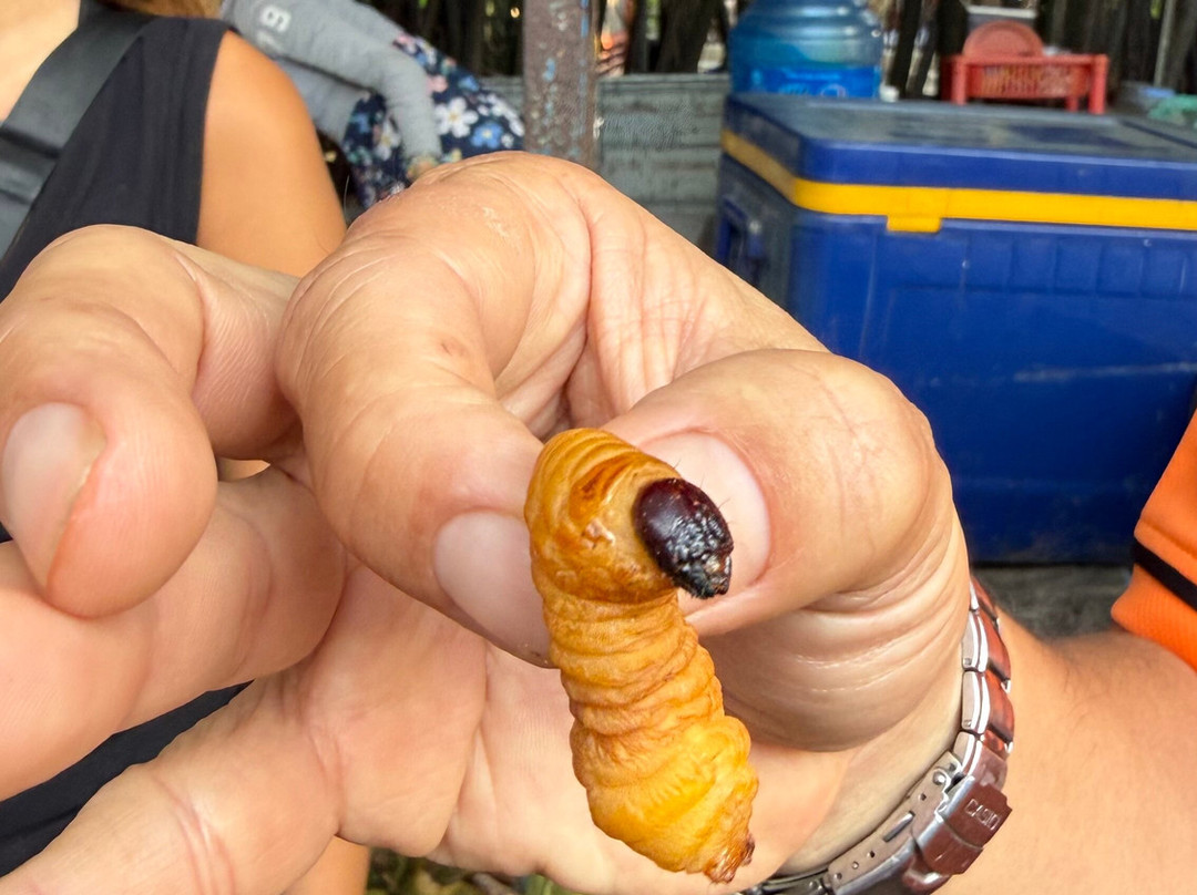 Kim Travel-胡志明市必去景点