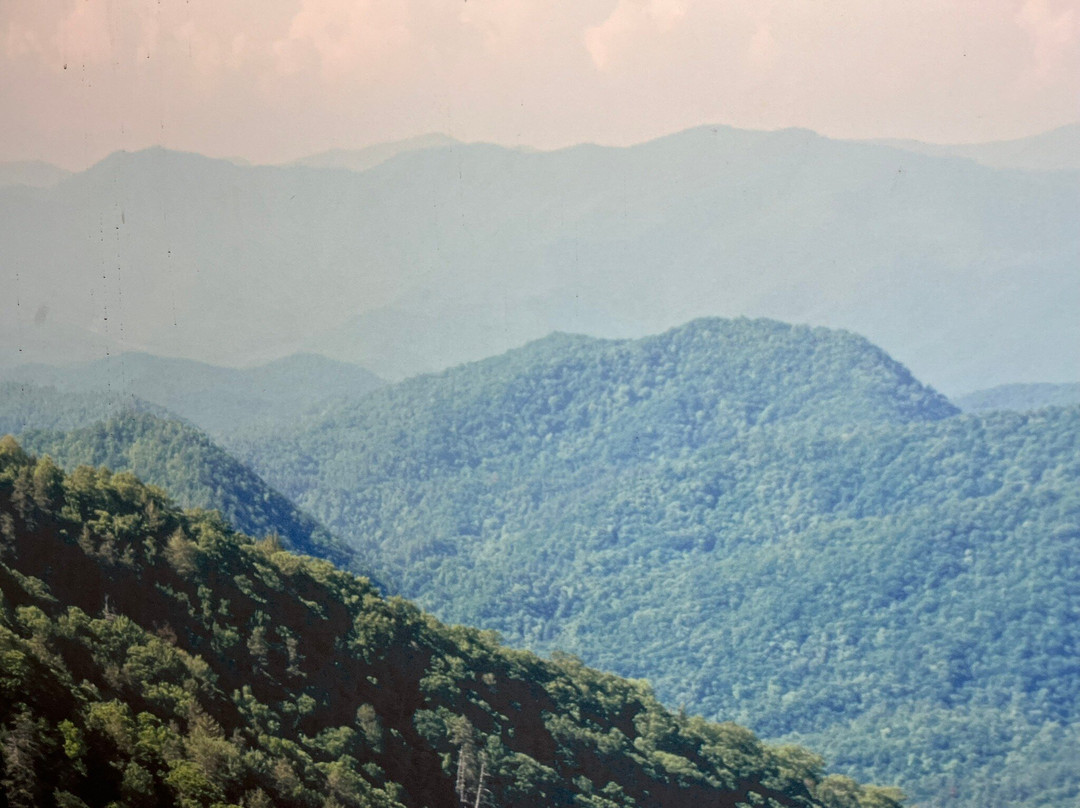 Bodega Aranjuez 1976-塔里哈必去景点
