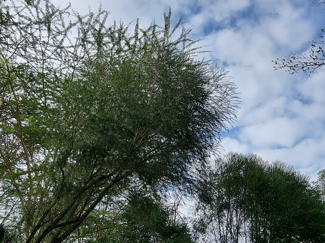 Flamingo Hill Tented Camp主图