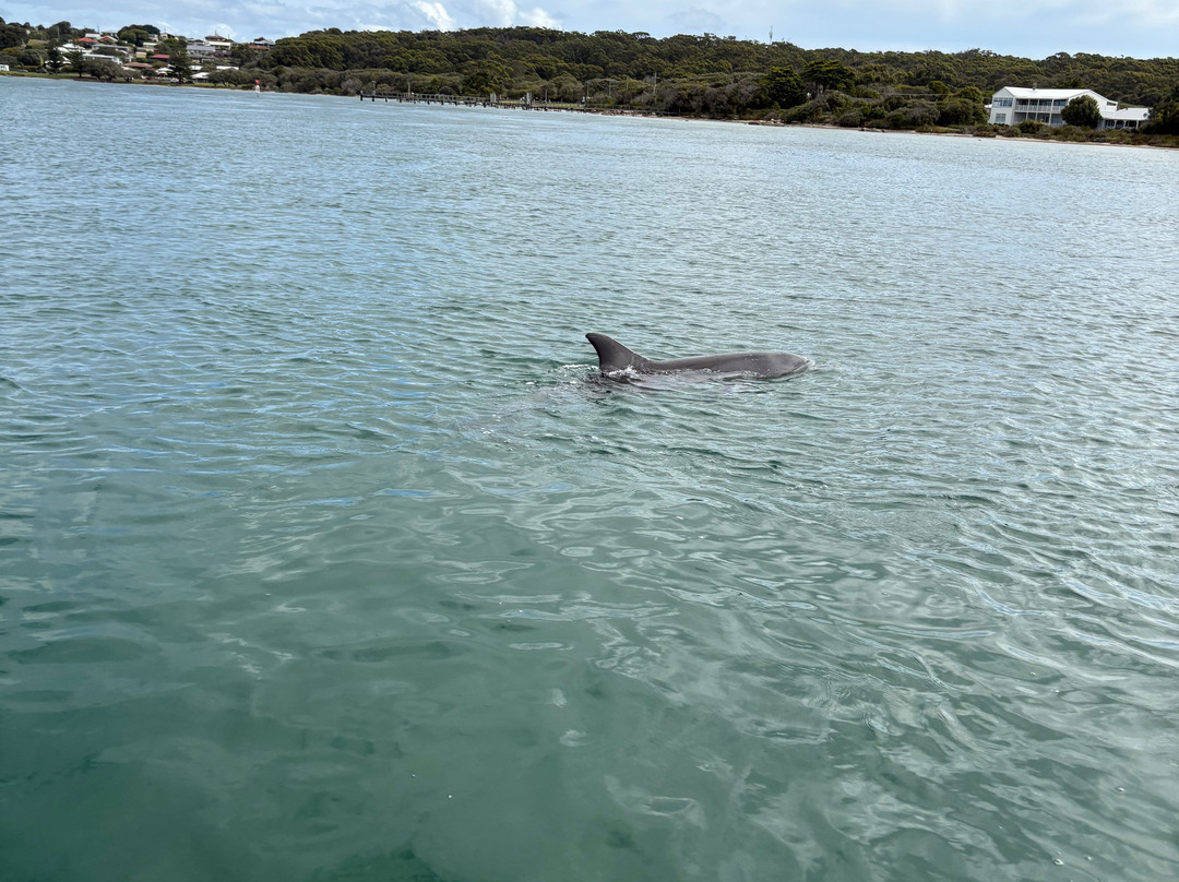Augusta River tours-奥古斯塔必去景点