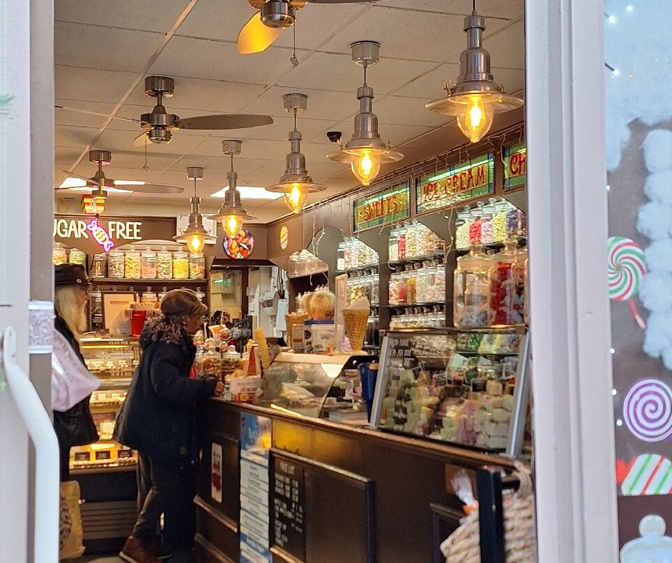 Poole Museum-普尔必去景点