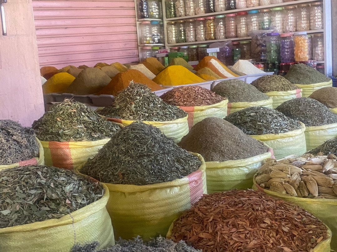 Morocco Trekking-马拉喀什必去景点