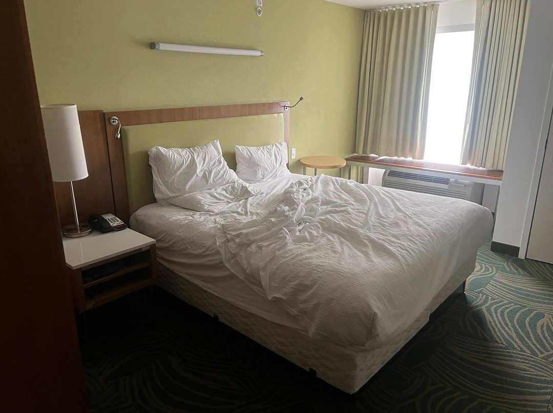 SpringHill Suites by Marriott Mobile主图