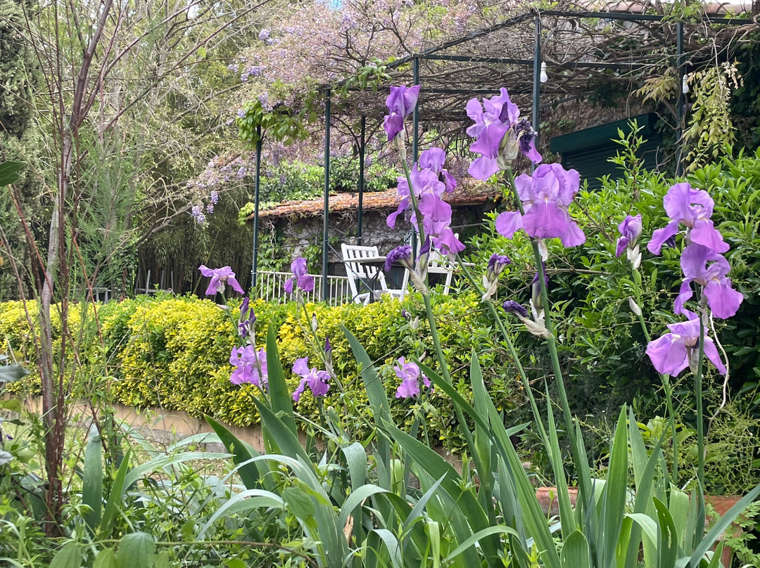 Mas de l'Ermitage主图