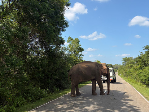 Dilhans Awesome Adventures-科伦坡必去景点