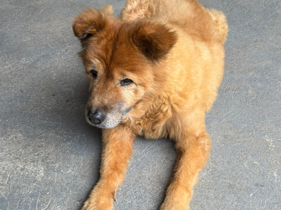 Puembo Birding Garden主图