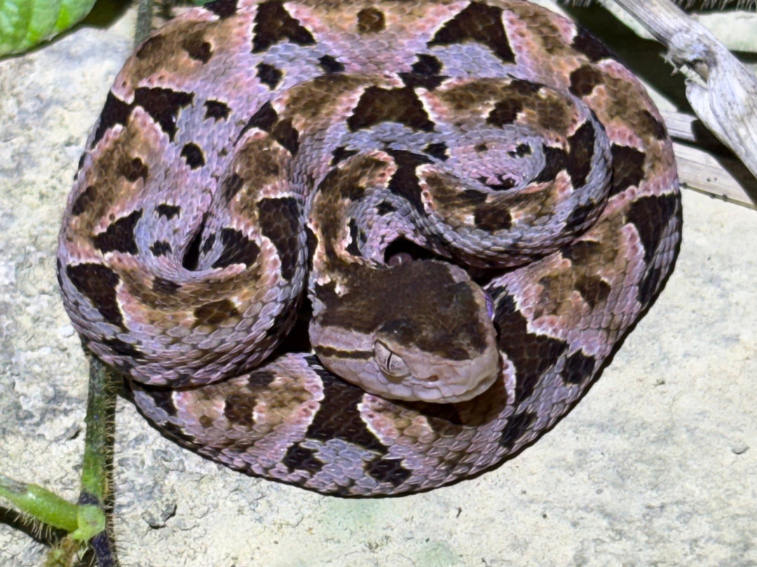 Santa Lucia Falls-乌维塔必去景点