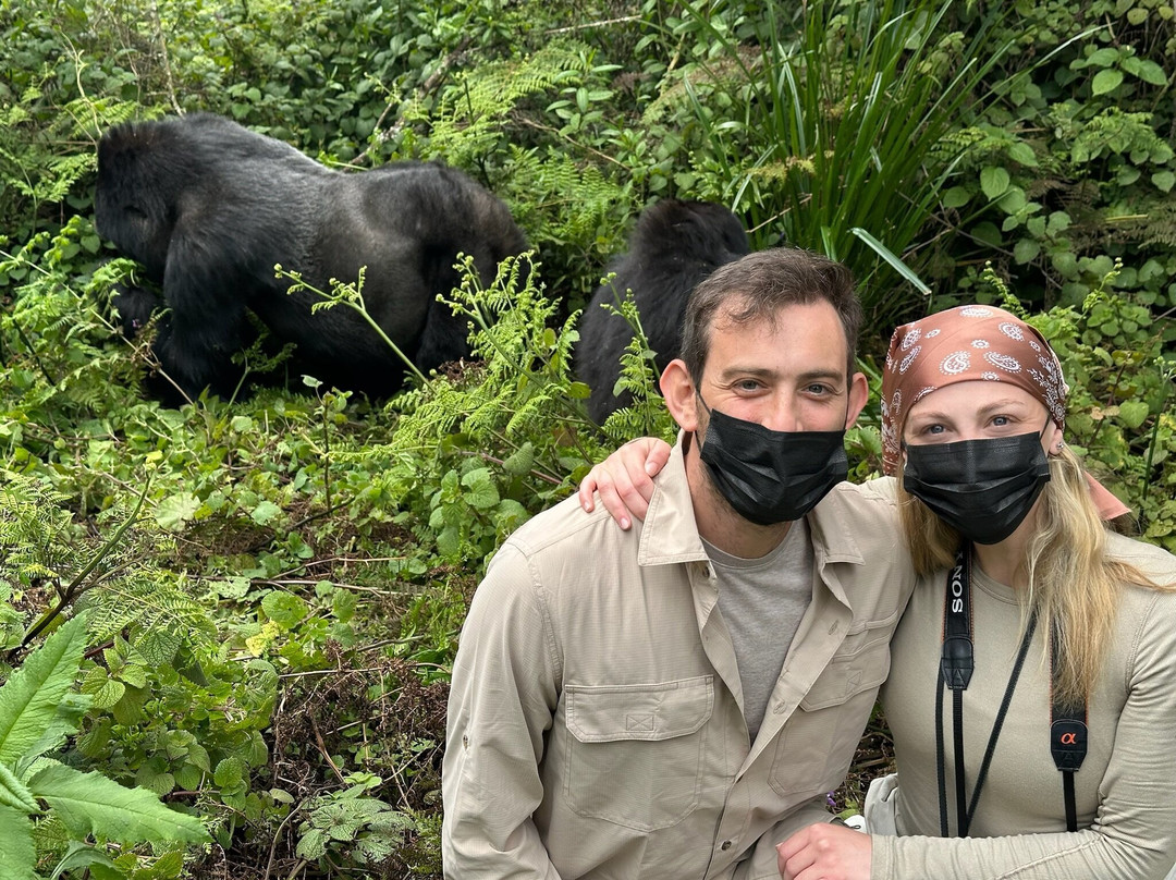 Safari Curators - Artisans Of African Travel-圣法兰西斯港必去景点