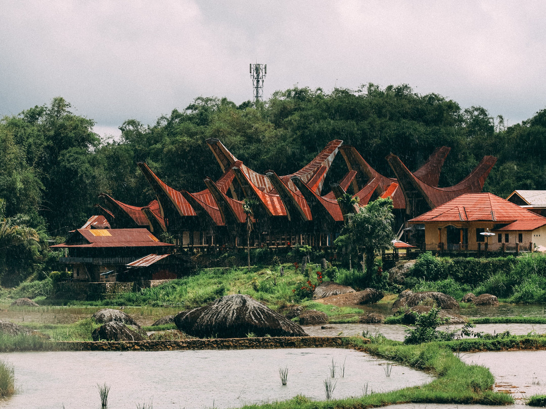 Gloria Tours & Travel-孟加锡必去景点