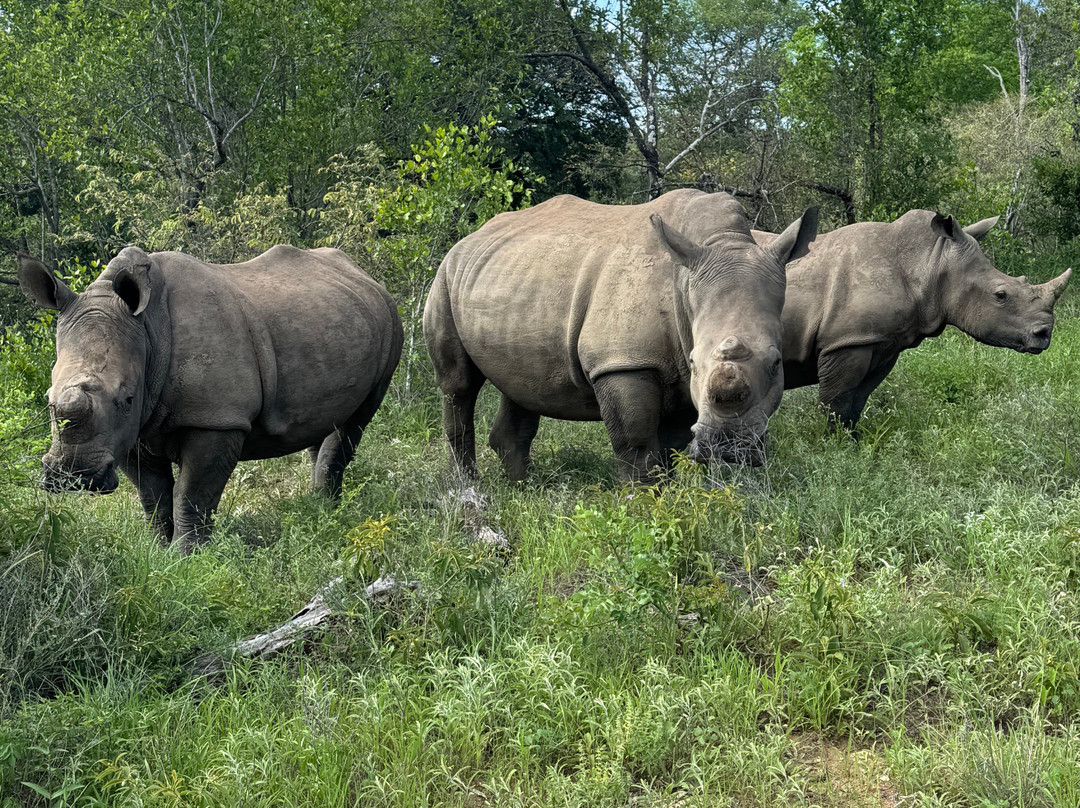 Toro River at Toro River Lodges-霍德斯普鲁特必去景点